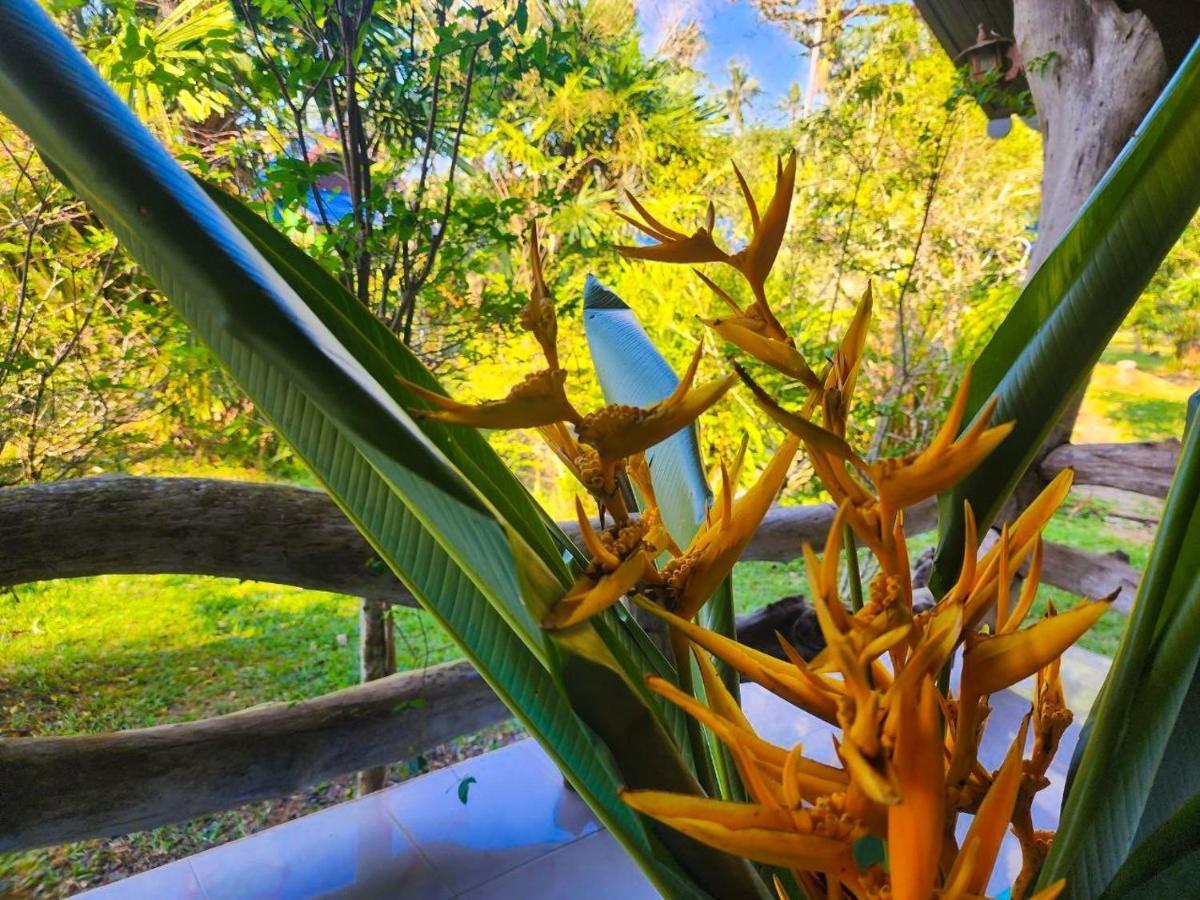 Banmae Resort Kohchang Koh Chang Buitenkant foto